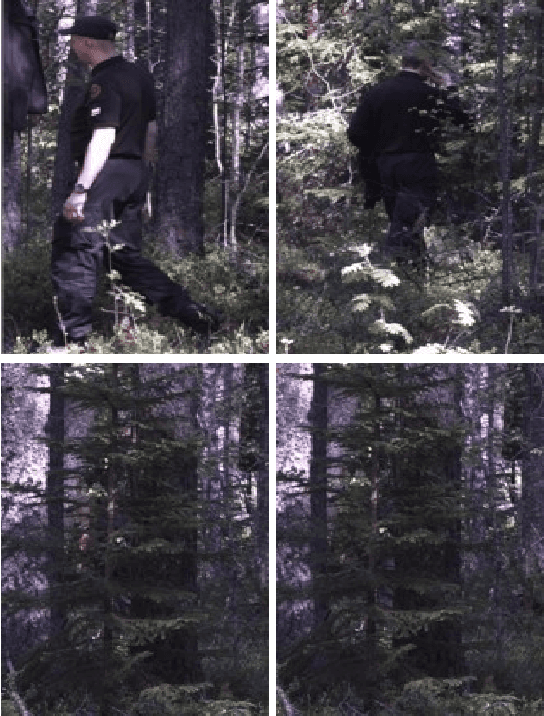 Figure 1 for The Problem of Fragmented Occlusion in Object Detection