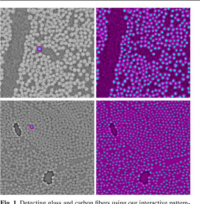 Figure 1 for Content-based Propagation of User Markings for Interactive Segmentation of Patterned Images
