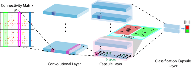 Figure 1 for Multi-Kernel Capsule Network for Schizophrenia Identification