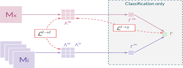 Figure 1 for Cross-Modal Information Maximization for Medical Imaging: CMIM