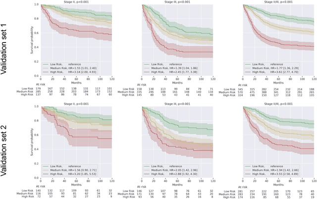 Figure 1 for Interpretable Survival Prediction for Colorectal Cancer using Deep Learning