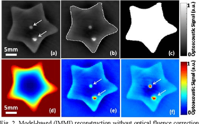 Figure 2 for Visual Quality Enhancement in Optoacoustic Tomography using Active Contour Segmentation Priors