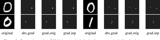 Figure 3 for Anomalous behaviour in loss-gradient based interpretability methods