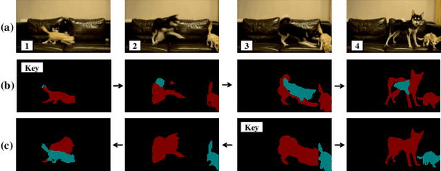 Figure 3 for Video Instance Segmentation with a Propose-Reduce Paradigm