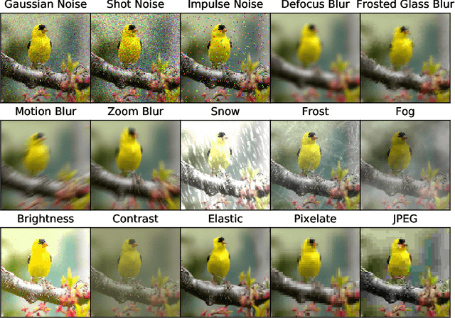 Figure 1 for Benchmarking Neural Network Robustness to Common Corruptions and Perturbations