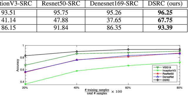 Figure 3 for Deep Sparse Representation-based Classification
