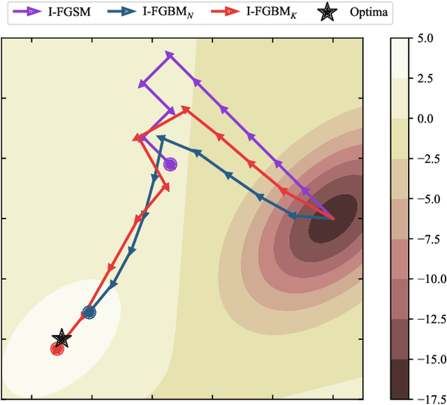 Figure 1 for Fast Gradient Non-sign Methods