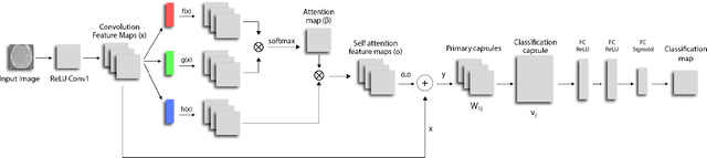 Figure 3 for Self-Attention Capsule Networks for Image Classification