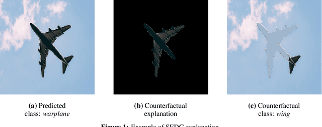 Figure 1 for Explainable Image Classification with Evidence Counterfactual