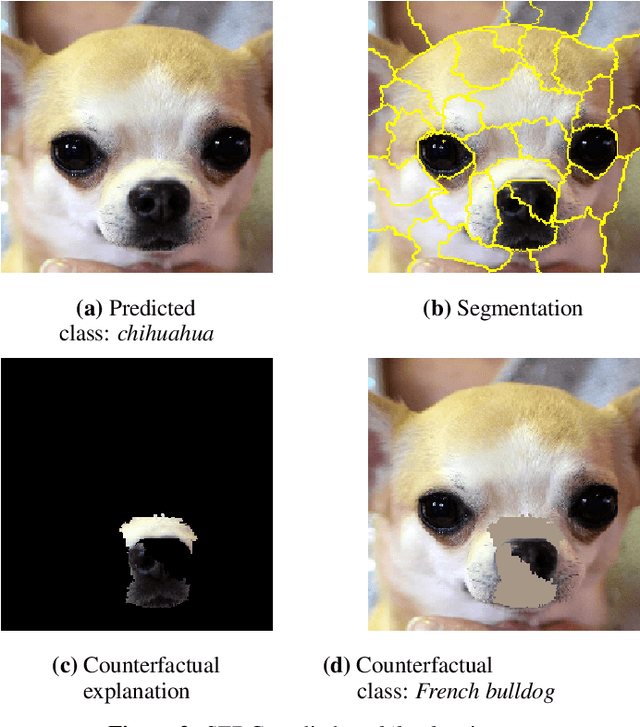 Figure 2 for Explainable Image Classification with Evidence Counterfactual