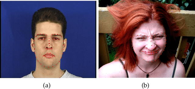 Figure 1 for Facial Landmark Point Localization using Coarse-to-Fine Deep Recurrent Neural Network