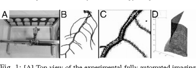 Figure 1 for Applications of Machine Learning Methods to Quantifying Phenotypic Traits that Distinguish the Wild Type from the Mutant Arabidopsis Thaliana Seedlings during Root Gravitropism