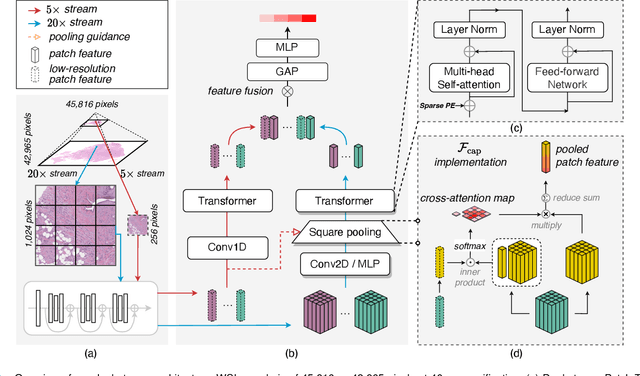 Figure 2 for Dual-Stream Transformer with Cross-Attention on Whole-Slide Image Pyramids for Cancer Prognosis
