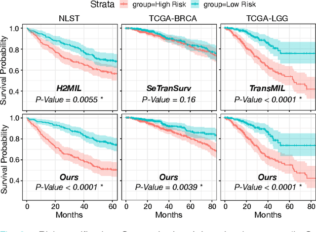 Figure 3 for Dual-Stream Transformer with Cross-Attention on Whole-Slide Image Pyramids for Cancer Prognosis