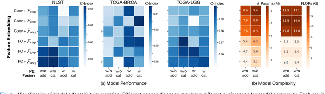 Figure 4 for Dual-Stream Transformer with Cross-Attention on Whole-Slide Image Pyramids for Cancer Prognosis