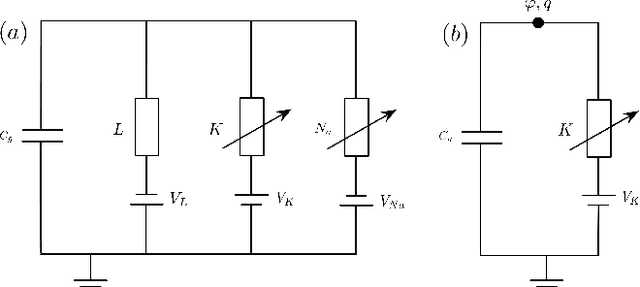Figure 1 for Quantized Hodgkin-Huxley Model for Quantum Neurons