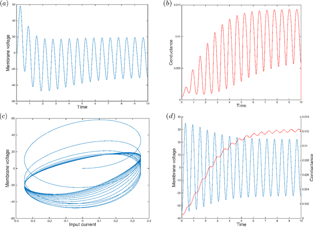 Figure 4 for Quantized Hodgkin-Huxley Model for Quantum Neurons