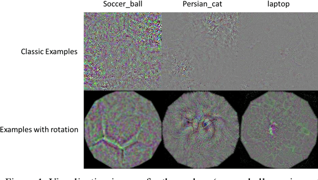 Figure 1 for Towards interpreting computer vision based on transformation invariant optimization