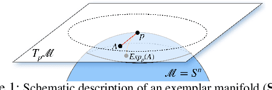 Figure 1 for Flow-based Generative Models for Learning Manifold to Manifold Mappings