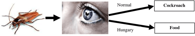 Figure 4 for Theory of Cognitive Relativity: A Promising Paradigm for True AI