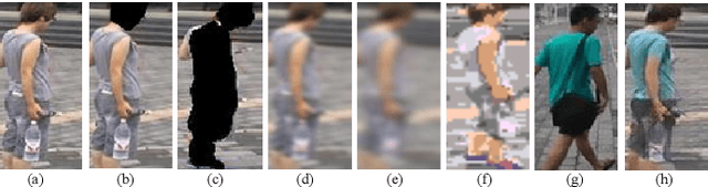 Figure 3 for Towards Privacy-Preserving Person Re-identification via Person Identify Shift
