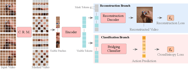 Figure 2 for MAR: Masked Autoencoders for Efficient Action Recognition