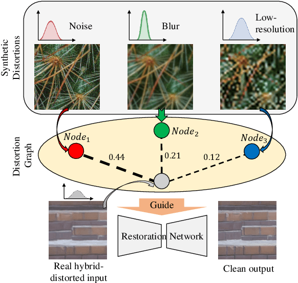 Figure 1 for Few-Shot Real Image Restoration via Distortion-Relation Guided Transfer Learning
