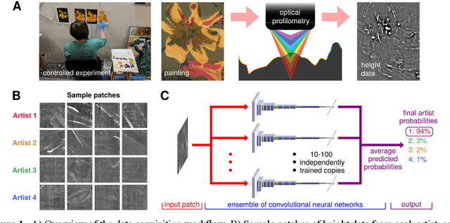 Figure 1 for Discerning the painter's hand: machine learning on surface topography