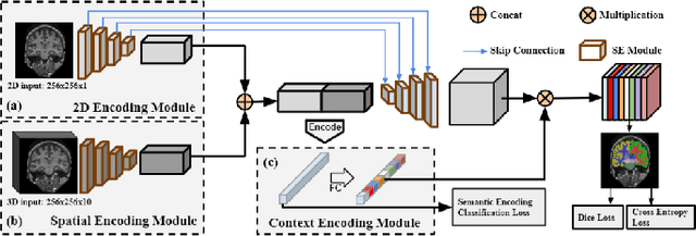 Figure 1 for Context-endcoding for neural network based skull stripping in magnetic resonance imaging
