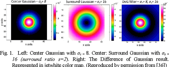 Figure 1 for A quantitative analysis of tilt in the Café Wall illusion: a bioplausible model for foveal and peripheral vision