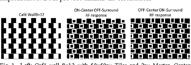 Figure 2 for A quantitative analysis of tilt in the Café Wall illusion: a bioplausible model for foveal and peripheral vision