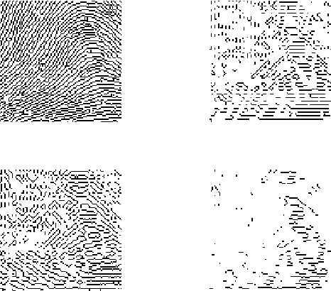 Figure 3 for Variational local structure estimation for image super-resolution