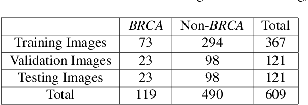 Figure 1 for Deep Interactive Learning-based ovarian cancer segmentation of H&E-stained whole slide images to study morphological patterns of BRCA mutation