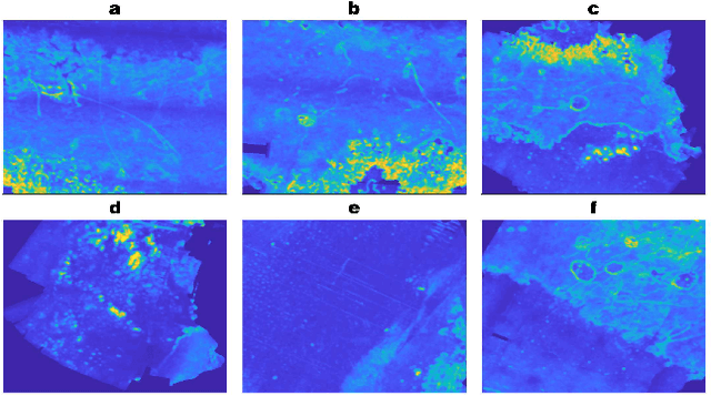 Figure 1 for Planning Safe Paths through Hazardous Environments