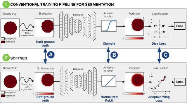Figure 1 for SoftSeg: Advantages of soft versus binary training for image segmentation