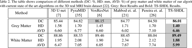 Figure 4 for Texture and Structure Incorporated ScatterNet Hybrid Deep Learning Network (TS-SHDL) For Brain Matter Segmentation