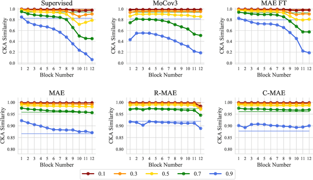 Figure 1 for Understanding Masked Image Modeling via Learning Occlusion Invariant Feature
