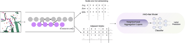 Figure 1 for Sequence-based deep learning antibody design for in silico antibody affinity maturation