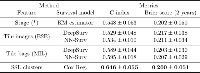 Figure 2 for Interpretable Prediction of Lung Squamous Cell Carcinoma Recurrence With Self-supervised Learning