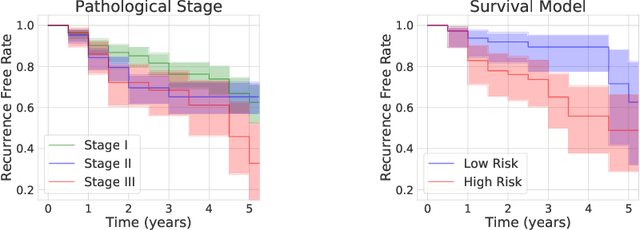 Figure 3 for Interpretable Prediction of Lung Squamous Cell Carcinoma Recurrence With Self-supervised Learning