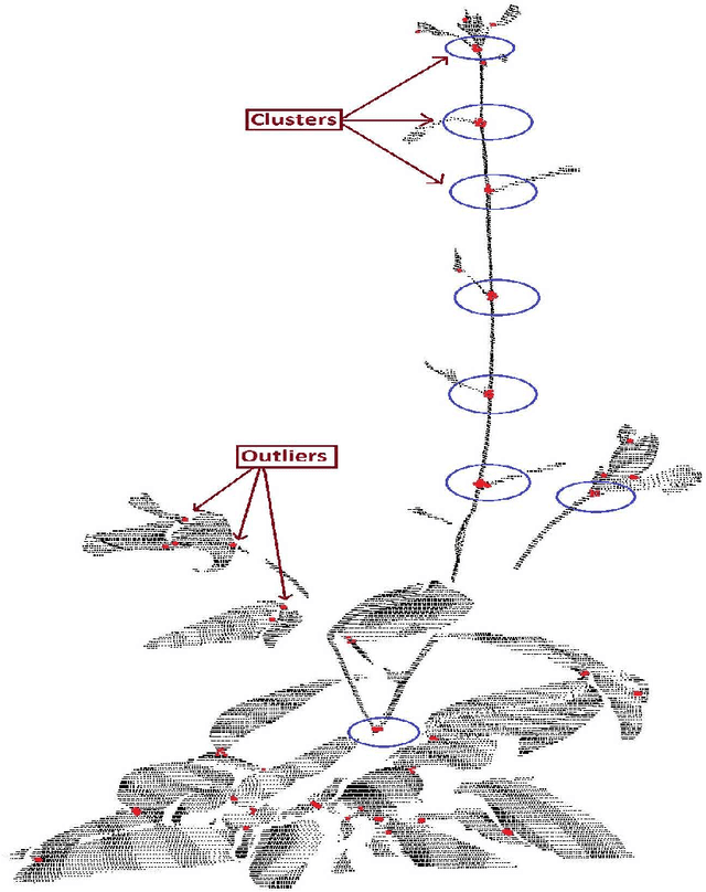 Figure 4 for Machine Vision System for 3D Plant Phenotyping