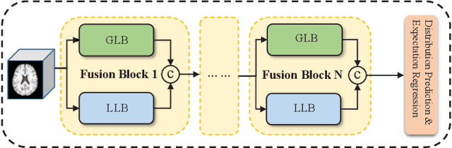 Figure 1 for Estimating Brain Age with Global and Local Dependencies