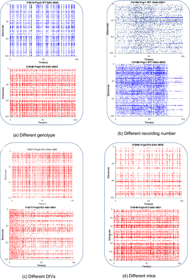 Figure 3 for A Deep Learning Framework for Classification of in vitro Multi-Electrode Array Recordings
