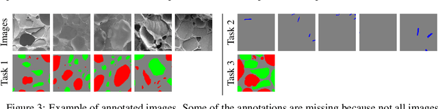 Figure 4 for A multi-task U-net for segmentation with lazy labels