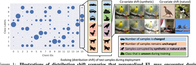 Figure 1 for Test-Time Robust Personalization for Federated Learning