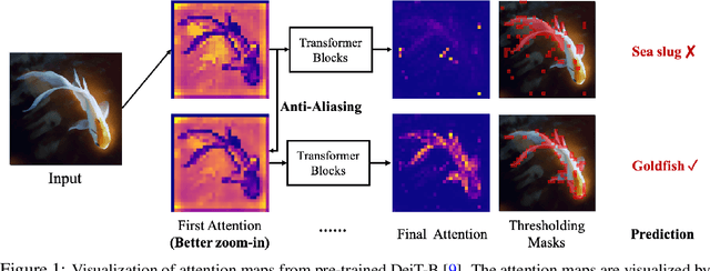 Figure 1 for Blending Anti-Aliasing into Vision Transformer