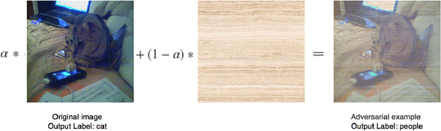 Figure 2 for Transferability of Adversarial Examples to Attack Cloud-based Image Classifier Service