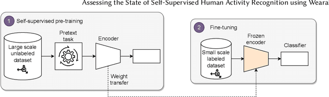 Figure 1 for Assessing the State of Self-Supervised Human Activity Recognition using Wearables