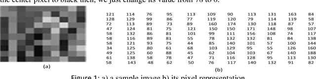 Figure 1 for A Recent Survey on the Applications of Genetic Programming in Image Processing