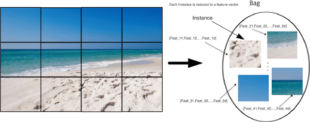 Figure 1 for Multiple Instance Fuzzy Inference Neural Networks